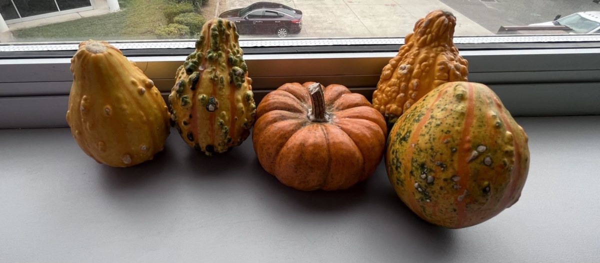 Pumpkins on the window sill in Room 232.